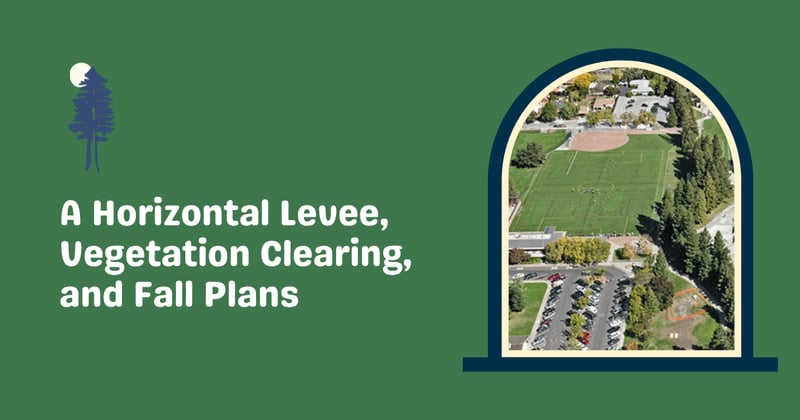 A Horizontal Levee, Vegetation Clearing, and Fall Plans