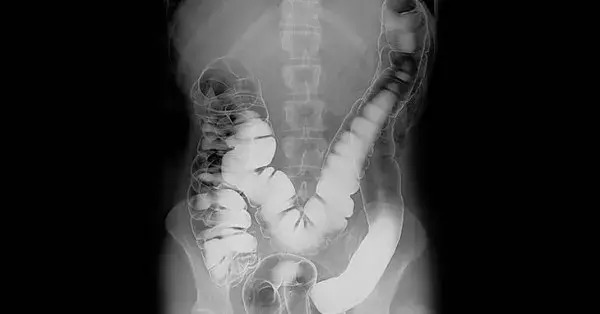 A medicina ganha reforço digital: IA entra em cena no combate ao câncer #587
