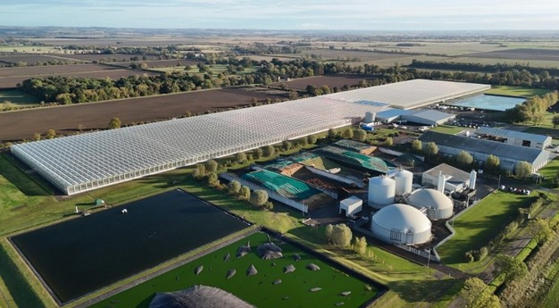 Agricultura vertical que sí cierra números