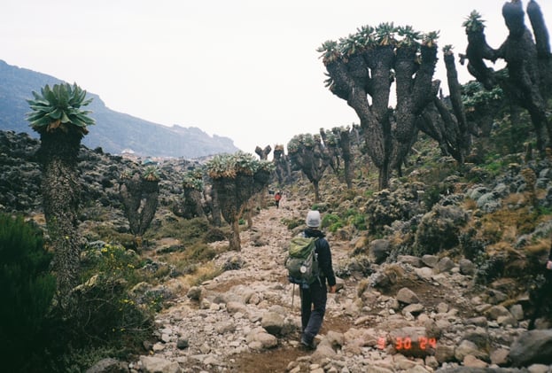 Gotta Start Somewhere, WWW, Texas to Africa | #1