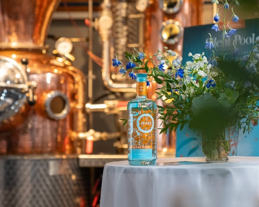 🌳 Festive Tour, Etsy Market Is Back, What's On & The Wordle | 24th November