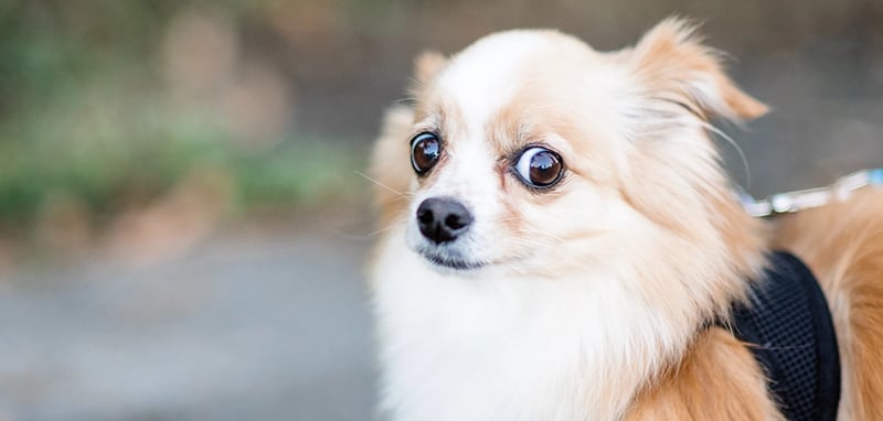 Ben Affleck Embraces AI?