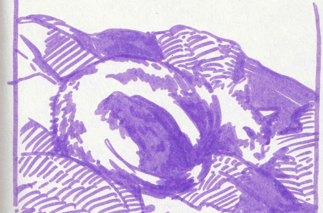 Eagerly waiting for fall