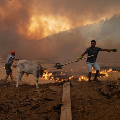Turkey on Fire - Summary of the Internet – July 27, 2025