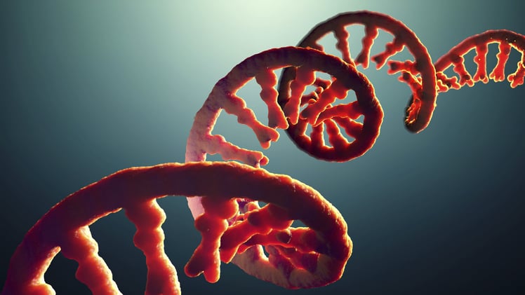 How AOC Will Change The World