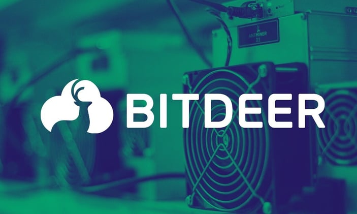 The Rise of Bitdeer