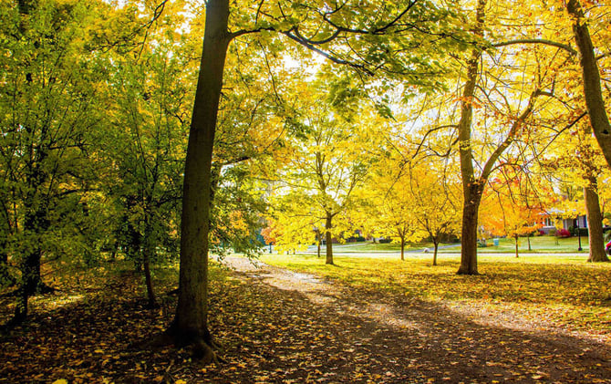 🦬 Hidden Campgrounds & Secret Fall Getaways 🍂👀