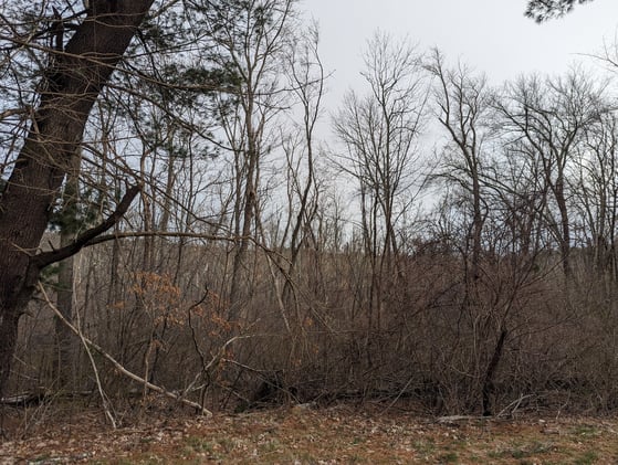 #AcademicRunPlaylist - 4/7/24