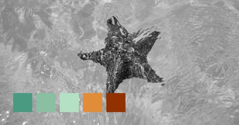 Isla Saona, Repubblica Dominicana