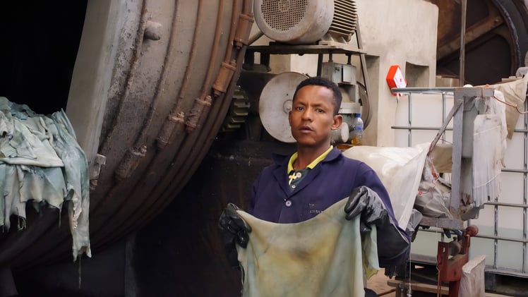 This Week's News from the Global Leather & Footwear Industry - Leathernews.org