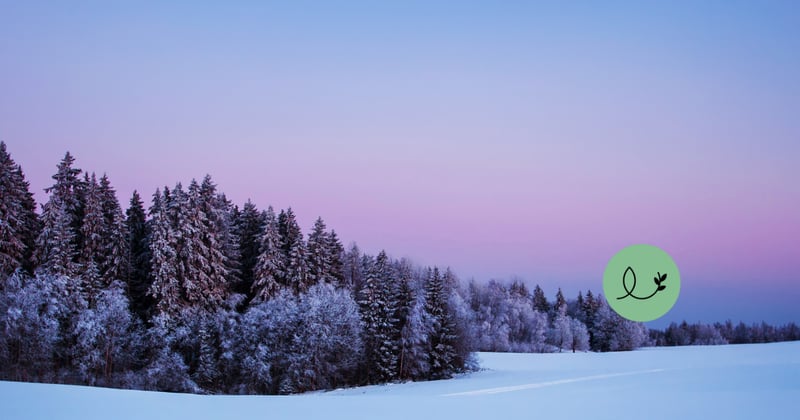 Surunauhan uutiskirje | joulu 2025