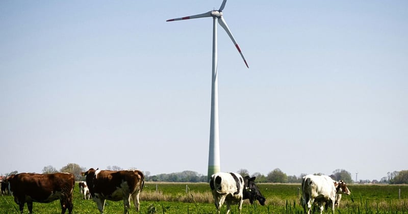 Moyne Shire has "long supported" renewable energy. So why did it reject a five-turbine wind farm?