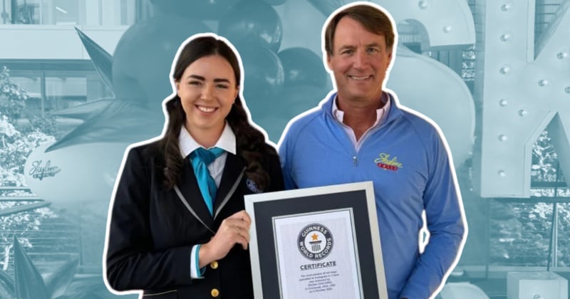 🍦 It's BLINK week, baby!