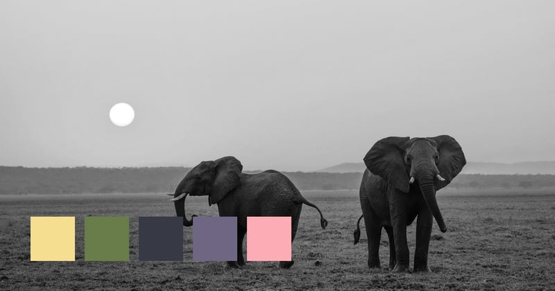 Similar Social And Cognitive Capacities