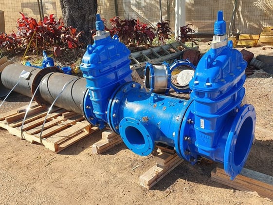 Newsport Alert Thursday 13 November 2025