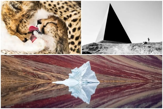 Las impresionantes fotos ganadoras de los Sony World Photography Awards 2020