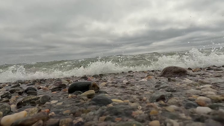 🐚 Stuffed quahogs, surprise offers, and second chances