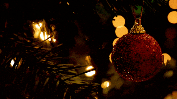 🚗 Merry Christmas! 