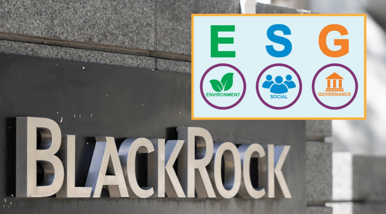 BlackRock and ESG