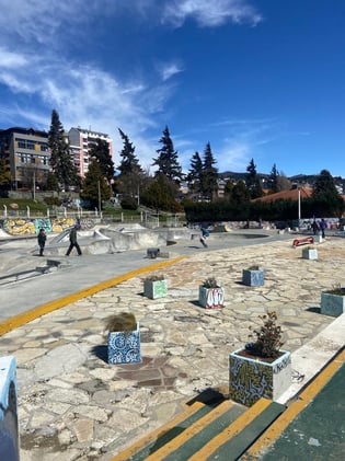 The Adventure Of Life