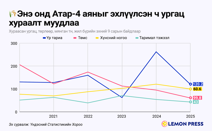 🦈 Акул статус