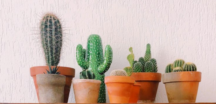 The Overlooked Revenue in Pain Care: CPT Codes You Might Be Missing