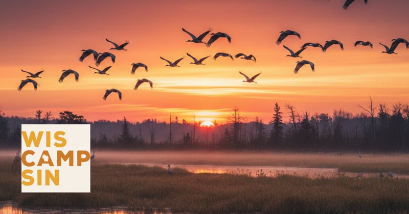 1st Sandhill crane hunting season? 