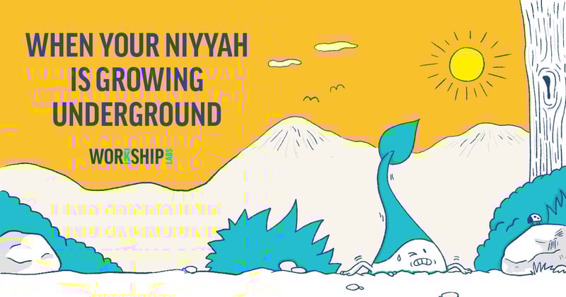 When Your Niyyah is Growing Underground