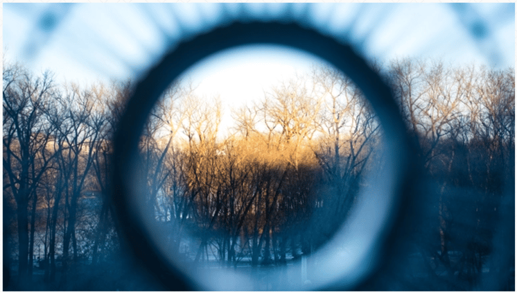 Signals in the Storm: From Emerging Markets to a Changing World Order