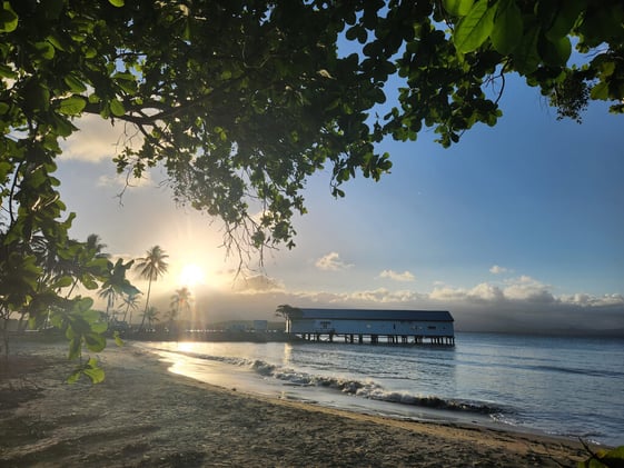 Newsport Alert Wednesday 29 October 2025