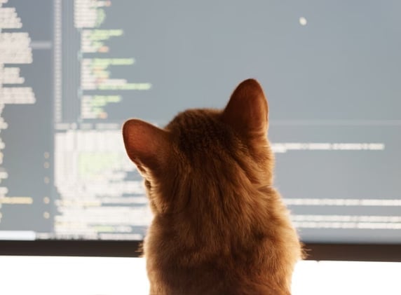 Digital Economy Dispatch #246 -- The Promises and Pitfalls of Vibe Coding