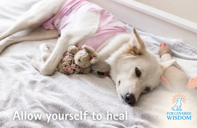 Allow Yourself to Heal