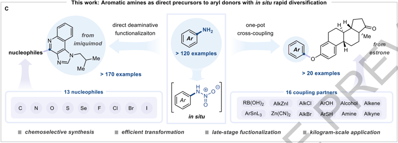 Amines → Whatever You Want Really