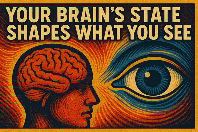 Witkoff Advised Russia, Medicare Slashes Prices and Your Brain’s State Shapes What You See