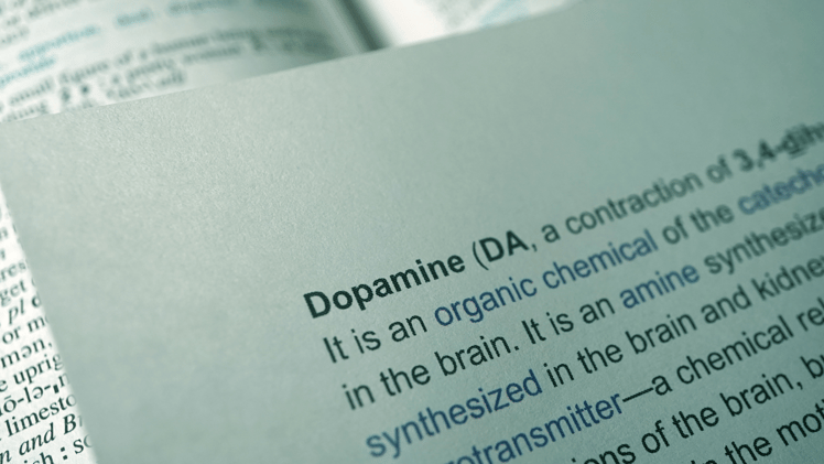 Belohnung, Sucht & Balance – was Dopamin mit Longevity zu tun hat