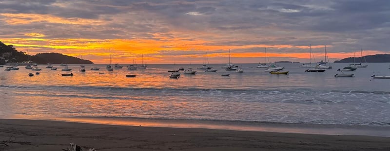 The Selling From the Beach Newsletter      