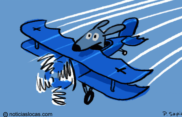 ¿Puede un perro pilotear un avión? Un nuevo Reality intenta averiguarlo
