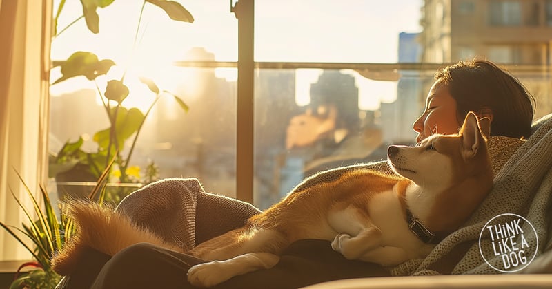 How to Feel Better by Thinking Like a Dog (Even on Your Most Human Days)