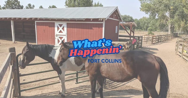 🎂 The Farm Turns 40: Celebrate a Fort Collins Favorite This Weekend