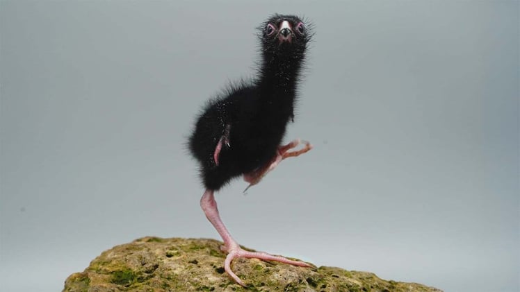 ✨🌈🪐 Videos & News Today • November 11, 2025