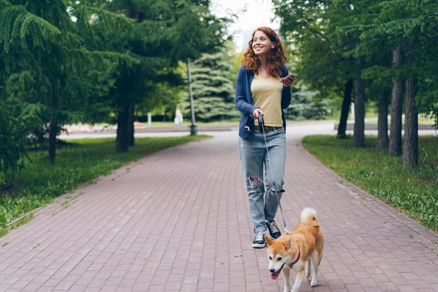 Get your dog ready for daylight savings time the right way.