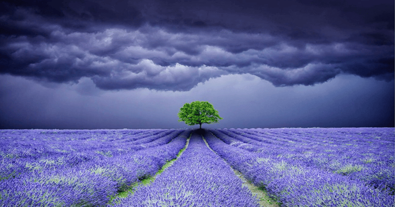 Finding focus in the eye of the storm