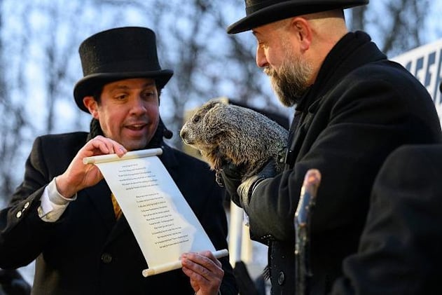 Salty Ginger Talk Newsletter