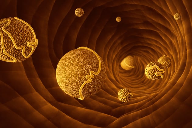 Beyond LDL: The Markers That Actually Explain Heart Disease Risk