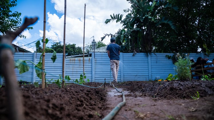 Plenty Green: The New Garden Changing Our Hood 🌱