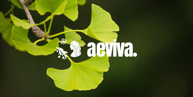 Can a leaf improve your focus?