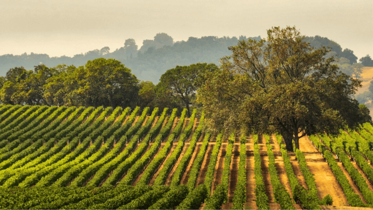 Can you keep a secret? 🤫 