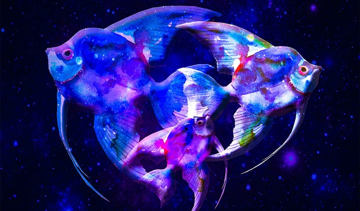 Crypto Analytics Firm Says XRP Whales Are in Massive Accumulation Mode As the Top Altcoin Outperforms Bitcoin