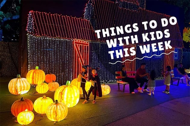 Weekly things to do 21-27 Oct