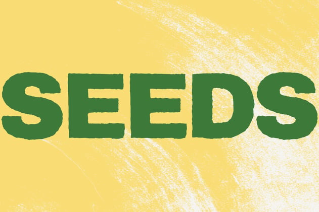 Launched: SEEDS